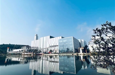 成都邓双东升国际环保发电有限公司
